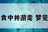 梦见蛇在粮食中并游走 梦见蛇在稻田里