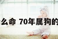 70属狗的什么命 70年属狗的是什么年命