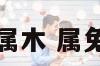 生肖兔2月属木 属兔2月份出生