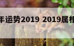 属相今年运势2019 2019属相全年运势