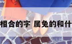 属兔相合的字 属兔的和什么合