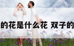 双子座的花是什么花 双子的星座花