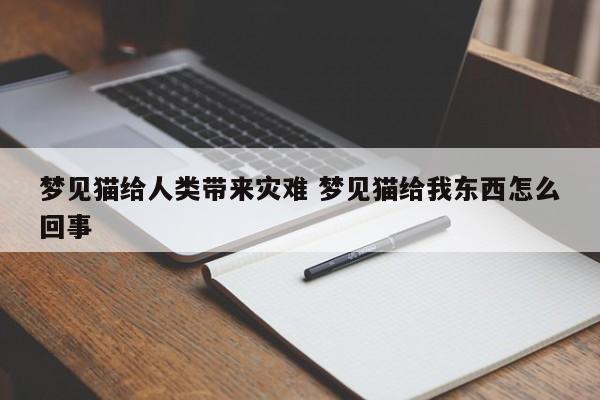 梦见猫给人类带来灾难 梦见猫给我东西怎么回事