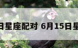 6月15日星座配对 6月15日星座配对