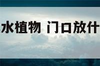 门口摆放的风水植物 门口放什么植物招财辟邪