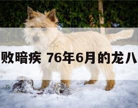 属龙的八败暗疾 76年6月的龙八败有暗疾