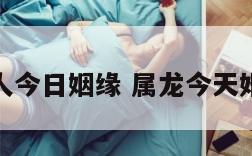 属龙的人今日姻缘 属龙今天婚姻如何