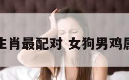 女狗男鸡生肖最配对 女狗男鸡属相配不配