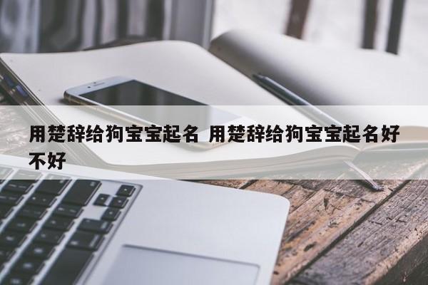 用楚辞给狗宝宝起名 用楚辞给狗宝宝起名好不好