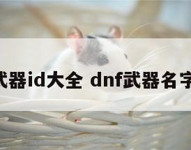 dnf武器id大全 dnf武器名字大全