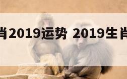 各大生肖2019运势 2019生肖运势大解析