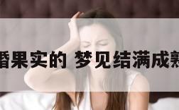 梦见结婚果实的 梦见结满成熟的果实