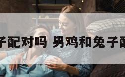 男鸡和兔子配对吗 男鸡和兔子配对吗好吗