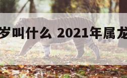 属龙的太岁叫什么 2021年属龙太岁化解方法