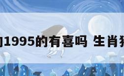 属猪的1995的有喜吗 生肖猪95年