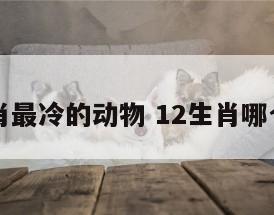 十二生肖最冷的动物 12生肖哪个是冷肖