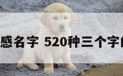 3个字情感名字 520种三个字的情感句