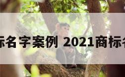 商标名字案例 2021商标名字