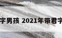 带君的名字男孩 2021年带君字的男孩名