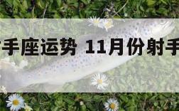 11月份射手座运势 11月份射手座运势如何