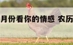 从农历出生月份看你的情感 农历月份出生的人的性格