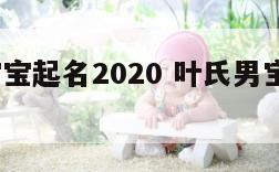 叶氏男宝宝起名2020 叶氏男宝宝起名2020年