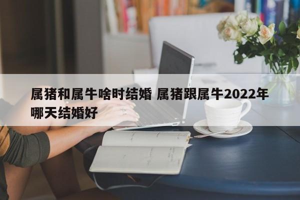 属猪和属牛啥时结婚 属猪跟属牛2022年哪天结婚好