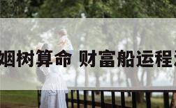 财富船婚姻树算命 财富船运程测算2021