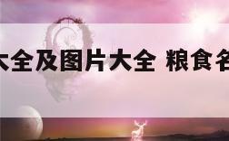 粮食名字大全及图片大全 粮食名字大全 名称