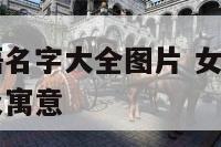 女服装店英语名字大全图片 女服装店英语名字大全图片及寓意