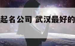 武汉最好的起名公司 武汉最好的起名公司是哪家