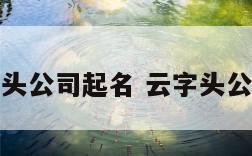 以云开头公司起名 云字头公司名称