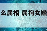 属狗女婚配什么属相 属狗女婚配什么属相最合适