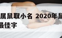 2020年属鼠取小名 2020年鼠宝宝取小名字最佳字