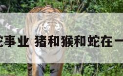 猪与猴蛇事业 猪和猴和蛇在一起好吗?