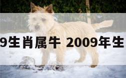 2009生肖属牛 2009年生肖牛