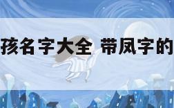 带凤字的男孩名字大全 带凤字的男孩名字大全四个字