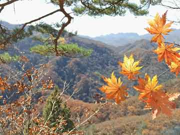 梦见冢墓 馆郭 迎送