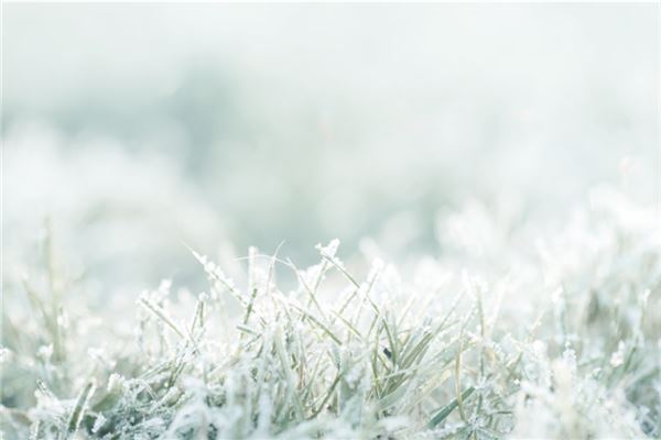 梦见霜降：霜雪不求，霜露难得